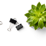 h1 slider04 - medgyd.lt