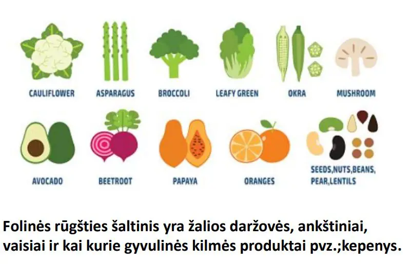 Geležies stoka - gydytojui Geležies stoka - gydytojui - image004